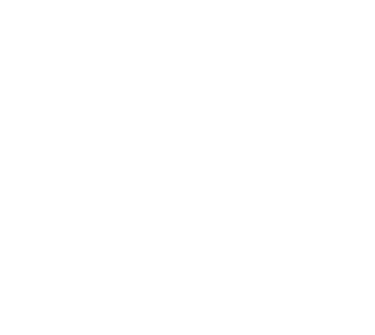 International Icon Rotary International | Child Custody Attorney in Cypress, TX